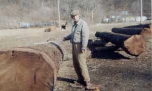 Photo of a man standing in front of a chopped tree