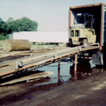Machine loading timber into the back of a semi truck